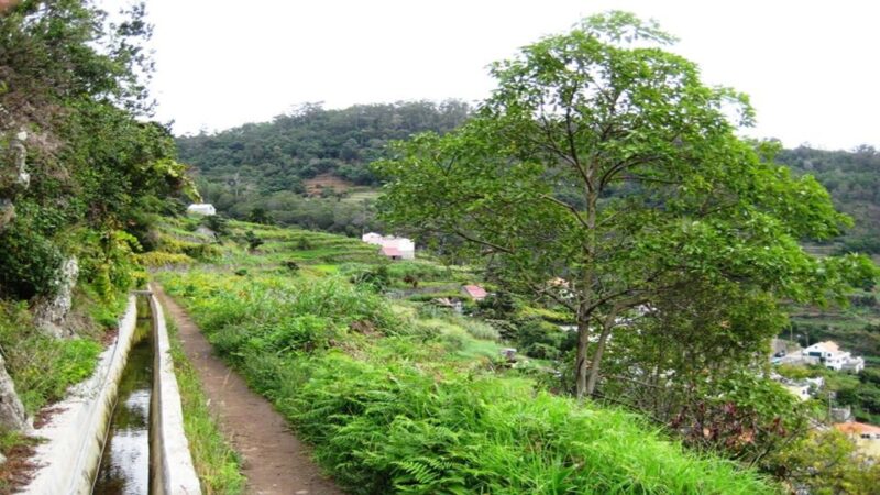 Madeira: Private Hike From Levada Do Caniçal to Machico - Stunning Scenic Views
