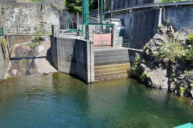 Madeira: Private Laurisilva Tour - Pickup Information