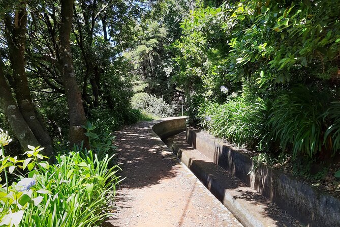 Madeira: Private Laurisilva Tour - Participation Details