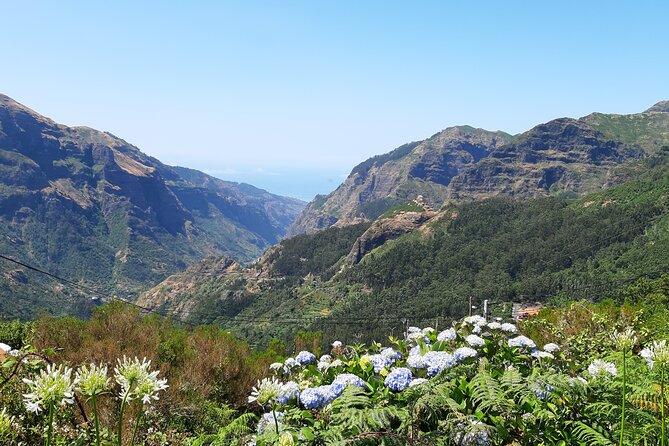 Madeira: Private Laurisilva Tour - Booking Flexibility