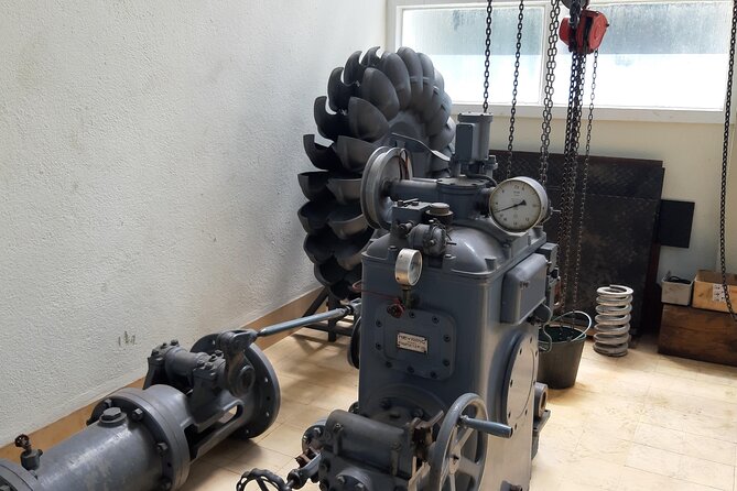 Madeira: Private Laurisilva Tour - Hydro Power Station Visit