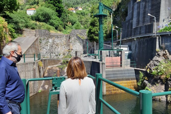 Madeira: Private Laurisilva Tour - Levada Walk in Laurisilva