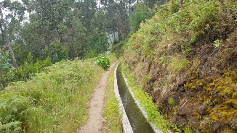 Madeira: Private Levada Ponta Do Pargo Walk - Pricing and Booking