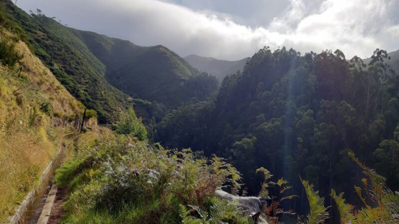 Madeira: Private Levada Ponta Do Pargo Walk - Tour Experience