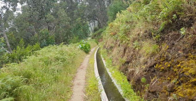 Madeira: Private Levada Ponta Do Pargo Walk - Scenic Levada Trail
