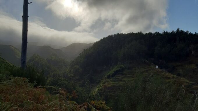 Madeira: Private Levada Ponta Do Pargo Walk - Transportation and Pickup