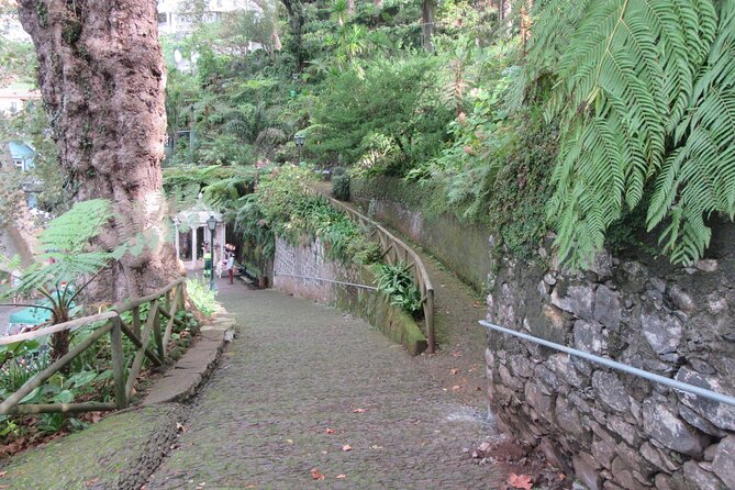 Madeira: Private Monte Tour by Cable Car With Transfer - Tour Conditions