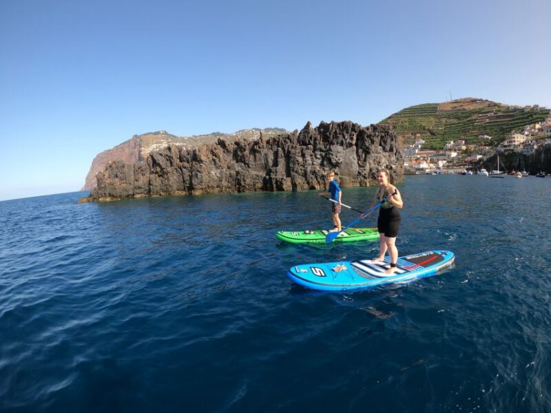 Madeira: Private Paddleboard & Snorkel - Booking Information