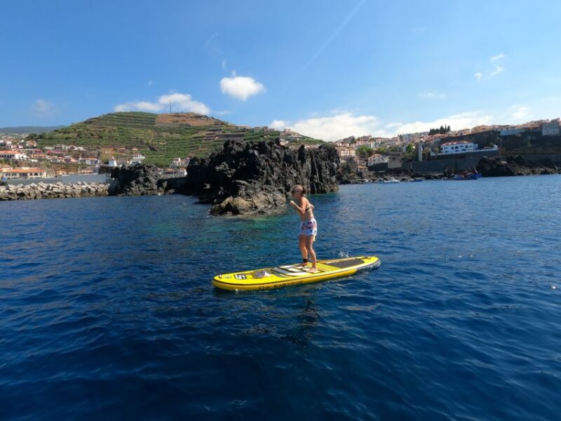 Madeira: Private Paddleboard & Snorkel - Experience Highlights
