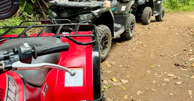 Madeira: Quad Bike Off-road Experience - Customer Feedback