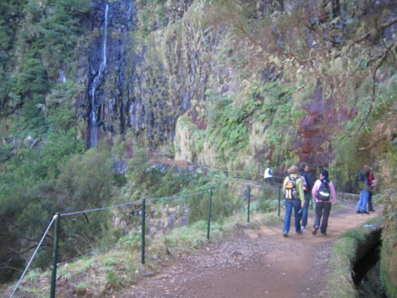 Madeira: Rabaçal, Risco and 25 Fontes Guided Hiking Tour - Customer Reviews