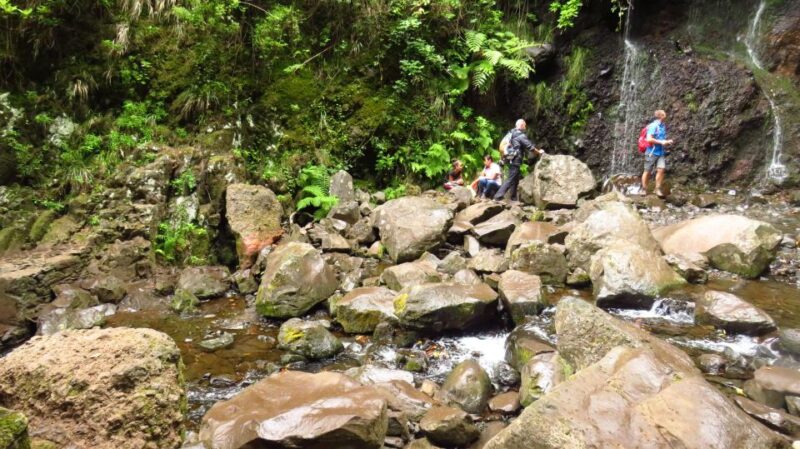 Madeira: Rabaçal, Risco and 25 Fontes Guided Hiking Tour - Important Information
