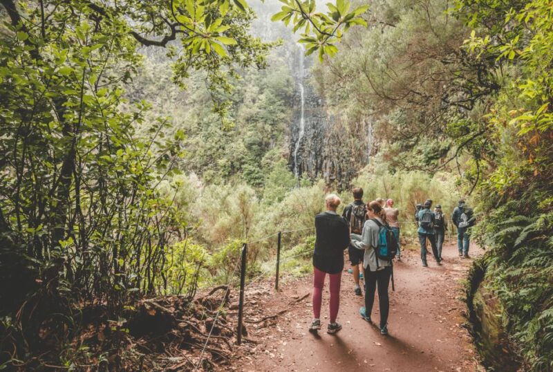 Madeira: Rabaçal Valley and the 25 Fountains Hike - Key Points