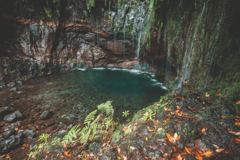 Madeira: Rabaçal Valley and the 25 Fountains Hike - Scenic Highlights