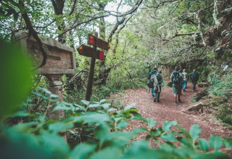 Madeira: Rabaçal Valley and the 25 Fountains Hike - Local Ecosystem and History