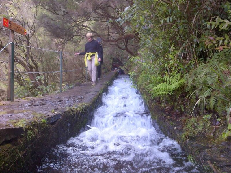 Madeira: Rabaçal Valleys 3-Hour Guided Walk - Experience Highlights