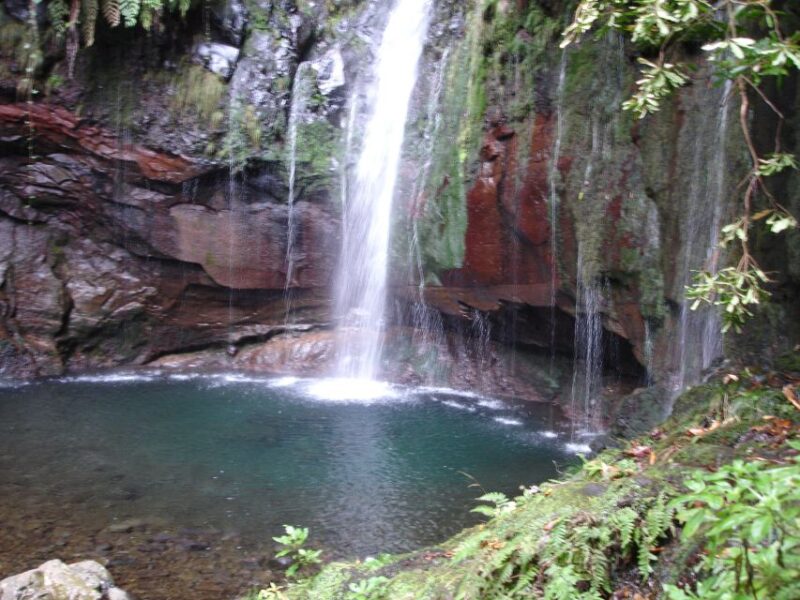 Madeira: Rabaçal Valleys 3-Hour Guided Walk - Inclusions and Exclusions