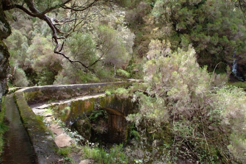 Madeira: Rabaçal Valleys 3-Hour Guided Walk - Booking and Cancellation Policy