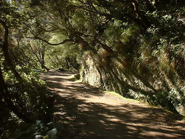 Madeira: Rabaçal Valleys 3-Hour Guided Walk - Customer Reviews and Feedback