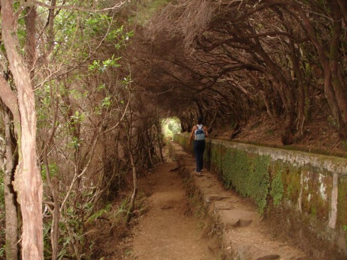 Madeira: Rabaçal Valleys 3-Hour Guided Walk - Explore Laurisilva Forest