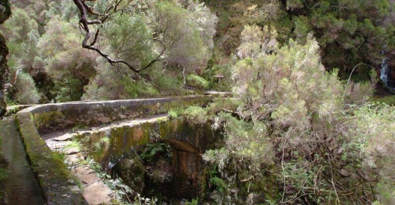 Madeira: Rabaçal Valleys 3-Hour Guided Walk - Experience Highlights