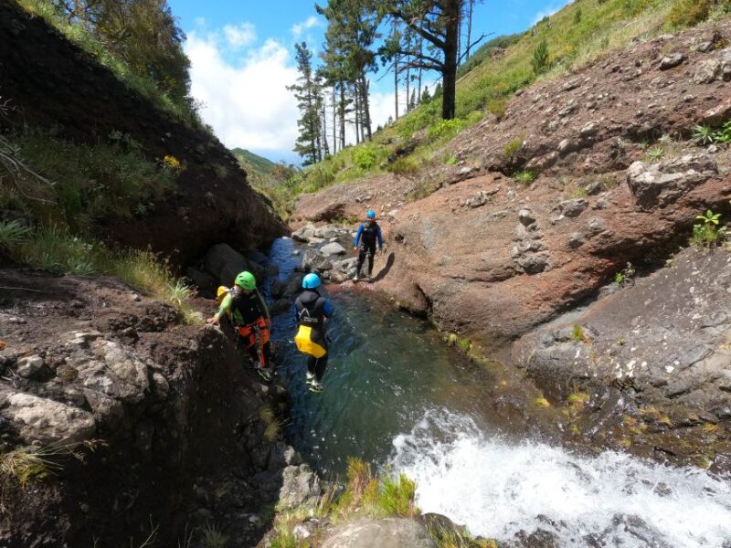 Madeira: Ribeira Das Cales Canyoning (Level 1) - Customer Feedback