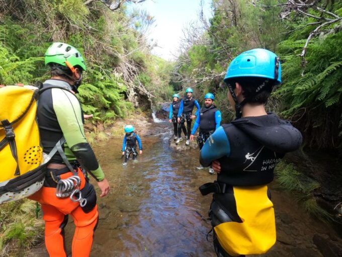 Madeira: Ribeira Das Cales Canyoning (Level 1) - Essential Information