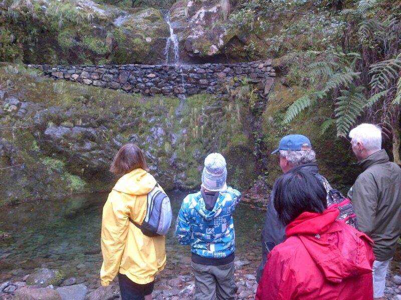 Madeira: Ribeiro Frio to Portela 4-Hour Guided Walk - Pricing and Booking