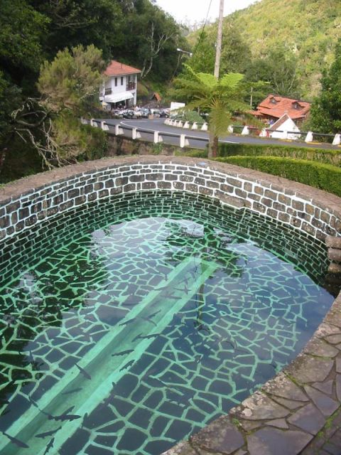 Madeira: Ribeiro Frio to Portela 4-Hour Guided Walk - Activity Overview