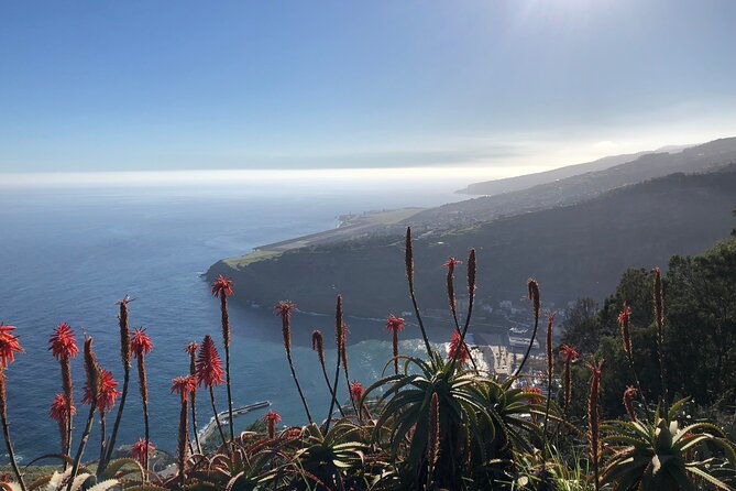 Madeira Safari - East of the Island - Cancellation Policy