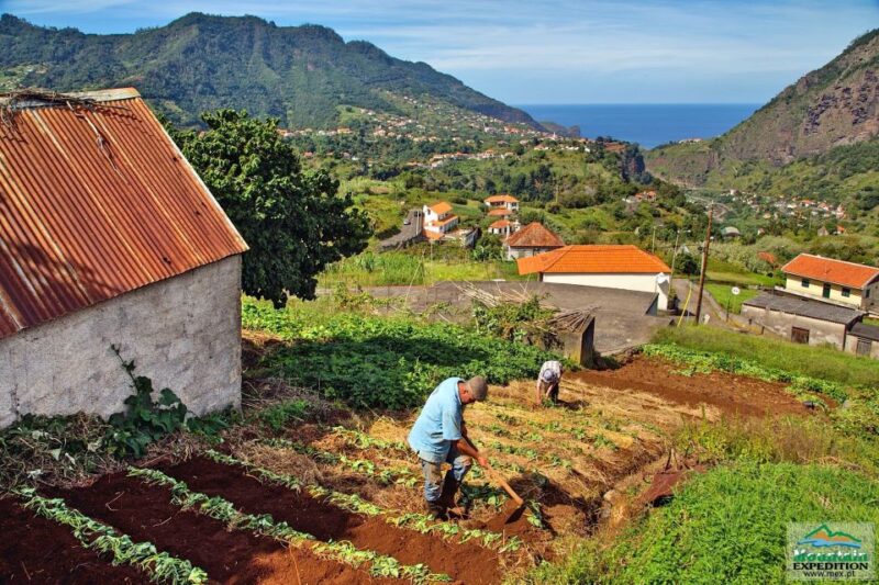 Madeira: Santana Jeep Safari and Levada Tour - Inclusions and Exclusions