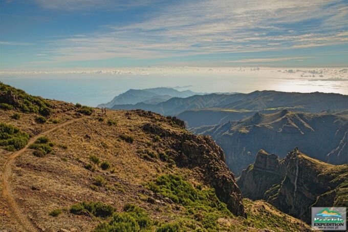 Madeira: Santana Jeep Safari and Levada Tour - Levada Guided Walk
