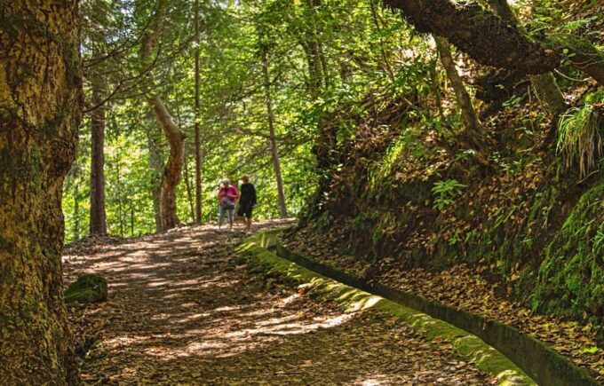 Madeira: Santana Jeep Safari and Levada Tour - Customer Reviews