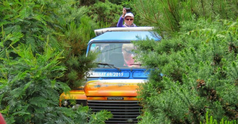 Madeira : Santo De Serra Local Farmers Market Half Day Trip - Experience Highlights