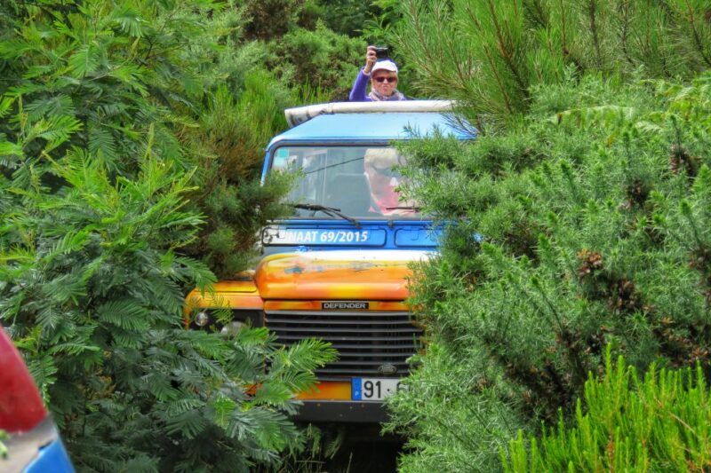 Madeira : Santo De Serra Local Farmers Market Half Day Trip - Customer Reviews and Ratings