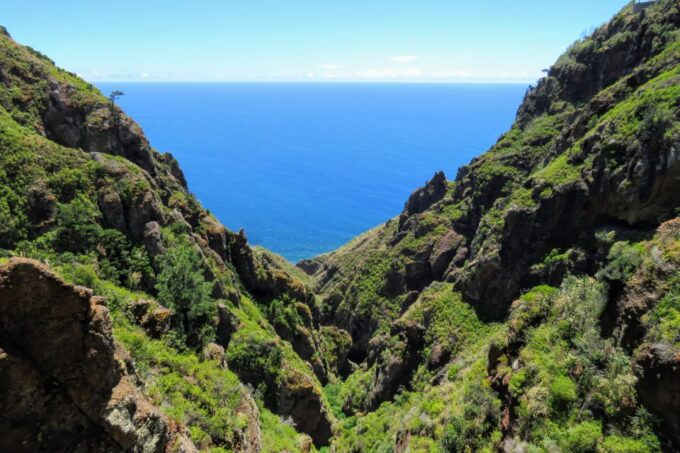 Madeira : Santo De Serra Local Farmers Market Half Day Trip - Comfortable Transportation and Friendly Guide