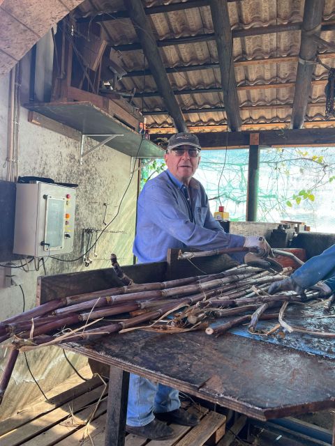 Madeira Sugar Cane Rum Tasting Experience - Rum Tasting Experience