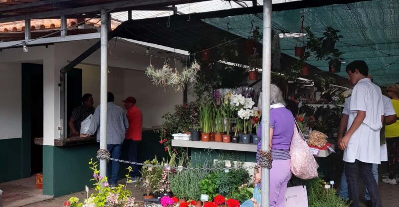 Madeira: Sunday Market in Santo Da Serra - Key Points