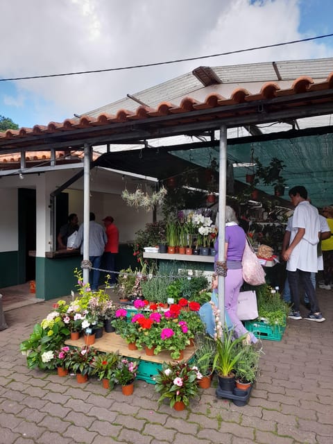 Madeira: Sunday Market in Santo Da Serra - Market Experience