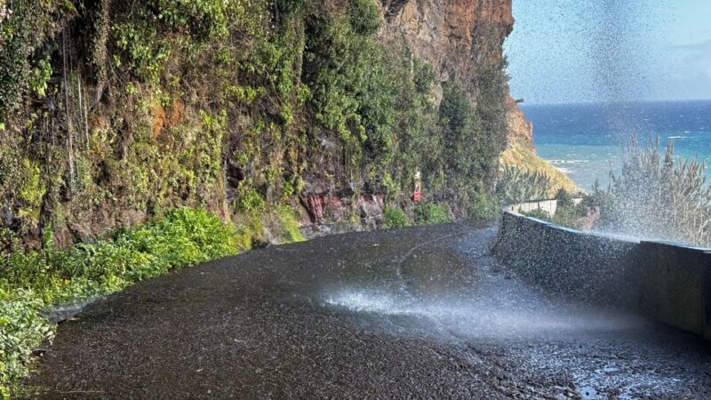 Madeira: Sunny South Side - Cabo Girão, Waterfall Anjos - Pricing and Savings