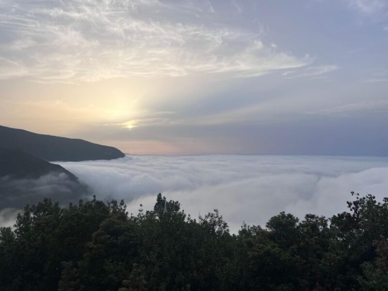 Madeira Surprise Tour 4x4 - Key Points