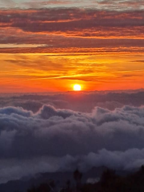 Madeira Tours - Itinerary Highlights