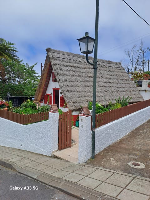 Madeira Tours - Experience and Activities
