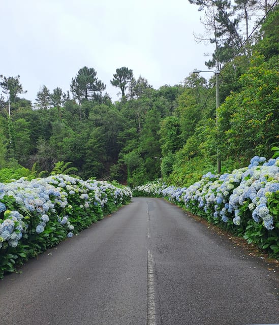 Madeira Tours - Frequently Asked Questions
