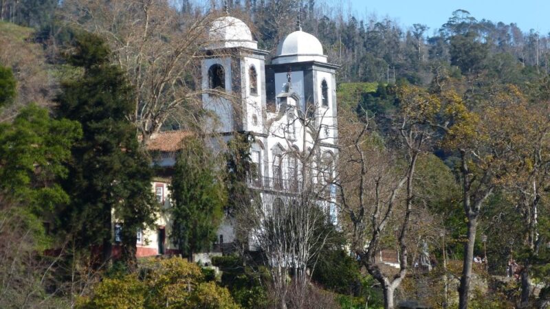 Madeira: Tukxi Tour to Monte - Customer Feedback