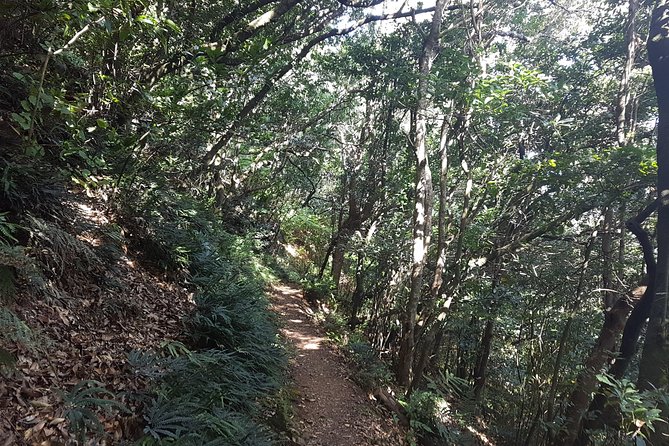 Madeira: Vereda Das Funduras Private Walking Tour PR5 - Weather Conditions and Dress