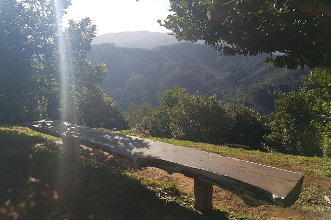 Madeira: Vereda Das Funduras Private Walking Tour PR5 - Vehicle Policies
