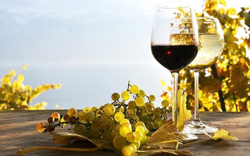Madeira - Vineyard Tour Wine Tasting - Included - Customer Ratings