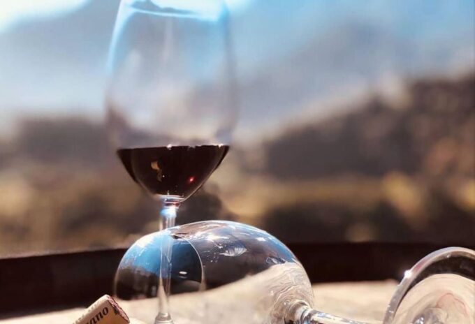 Madeira - Vineyard Tour Wine Tasting - Included - Frequently Asked Questions