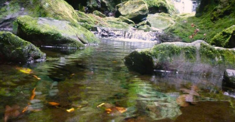 Madeira: Walking Tour Levada Do Rei/Ribeiro Bonito - Key Points